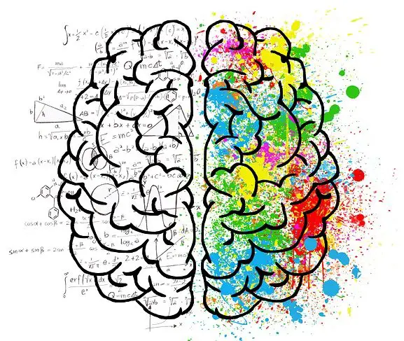 Discover a list of examples of mnemonics