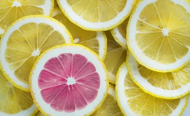 Acid Base Balance in the Human Body: Regulation and Control